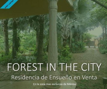 Casa - Benito Juárez Nte Forest In The City Mansion De Ensueño (vc-2026)