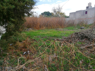 Terreno En Renta Cerca Centro De Chalco