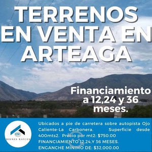 Terrenos Financiados en Arteaga, Coahuila