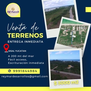 Terrenos en venta A 200 mt de la playa en Sisal Pueblo MAGICO.