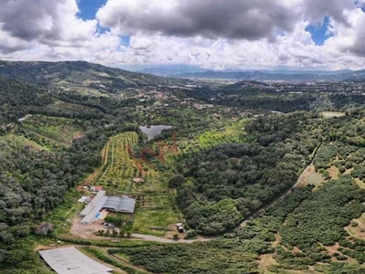 Estado De México - Terreno