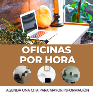 OFICINA VIRTUAL CON DOMICILIO FISCAL Y COMERCIAL EN EDOMEX