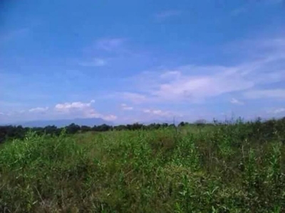 Rancho en Venta en Cosautlán de Carvajal, Veracruz