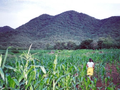 Rancho en Venta en Huetamo de Núñez, Michoacan de Ocampo