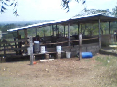 Rancho en Venta en Minatitlán, Veracruz