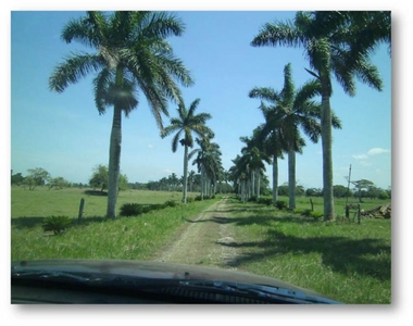 Rancho en Venta en TAMPAMACHOCO Tamiahua, Veracruz