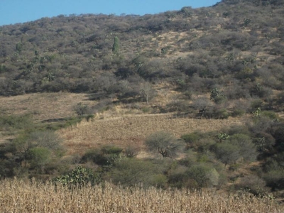 Terreno en Venta en Ex Hacienda Santa Cruz (pegado a Cuto del Porvenir Tarímbaro, Michoacan de Ocampo