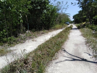 Terreno en Venta en Puerto Morelos Puerto Morelos, Quintana Roo