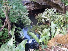 En venta terreno de 20 Has, con 2 Cenotes, área Proyecto Xibalba.