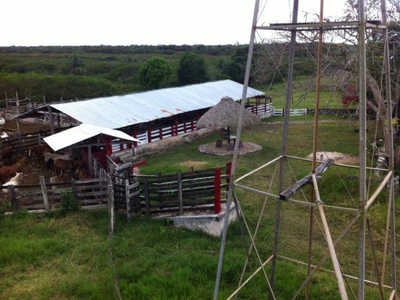 Rancho ganadero y agricola en venta en Tizmin, Yucatan con casa principal, y 2 departamentos