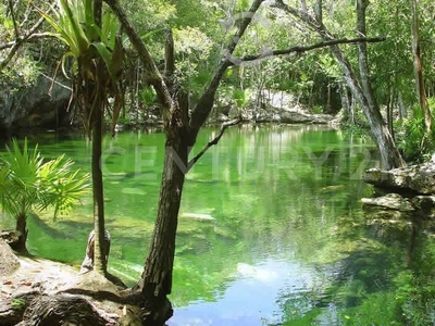 TERRENO EN TULUM A PRECIO DE OPORTUNIDAD P2780