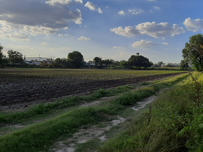 Terreno cerca de Toluquilla para desarrollo Habitacional