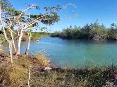 VENTA Terreno Chile Verde, Bacalar QR