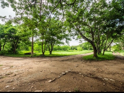 TERRENO, 5,020 m2 1- Camino de Merida a Progreso