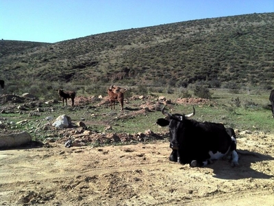 Terreno en Venta en Valle de las Palmas Tecate, Baja California