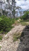 TERRENO UBICADO EN LA ZONA EJIDO DE TULUM