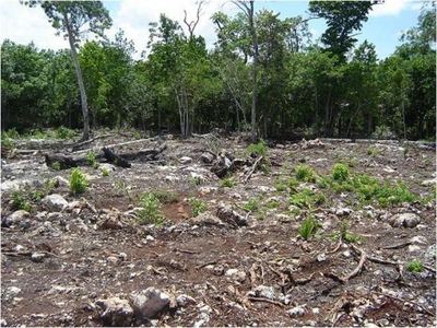 Terreno en Venta en Alamos II Cancún, Quintana Roo