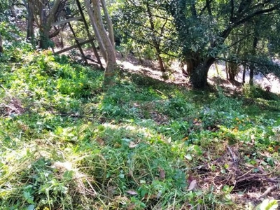 Terreno en Venta en Avandaro Valle de Bravo, Mexico