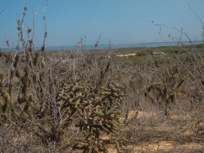 Terreno en Venta en la curva Ciudad Constitucion, Baja California Sur