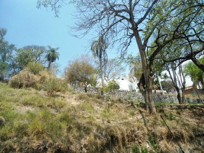 Terreno en Venta en Palmira Cuernavaca, Morelos