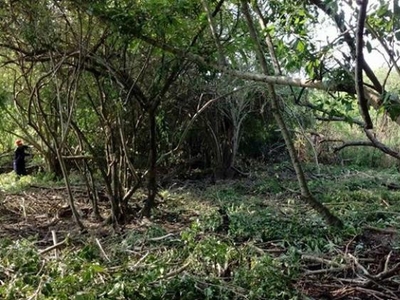 Terreno en Venta en Playa Larga Zihuatanejo, Guerrero