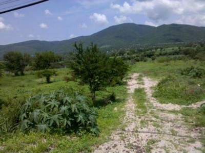 Terreno en Venta en rancho correa Tlayacapan, Morelos