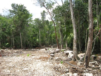 Terreno en Venta en Ruta de los cenotes Puerto Morelos, Quintana Roo