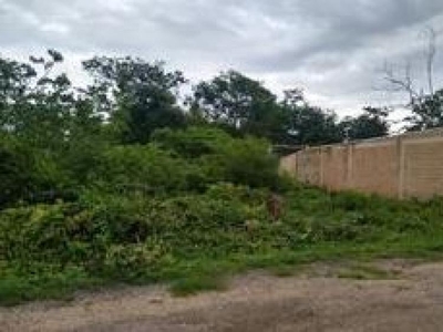 Terreno en Venta en Tizimín, Yucatan