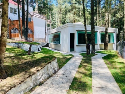 Cabaña con Diseño Minimalista Dentro de Bosque Residencial