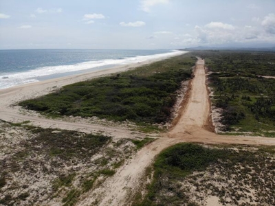 Lotes en venta a pie de playa en puerto Escondido Oaxaca (Playa Palmarito)