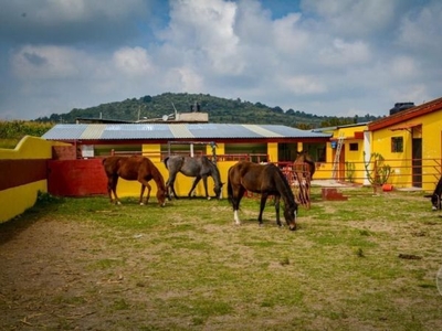 Rancho en venta Maravillas, Nopala de Villagran, Hidalgo
