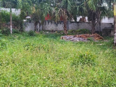 Terreno en el pueblo de Bacalar