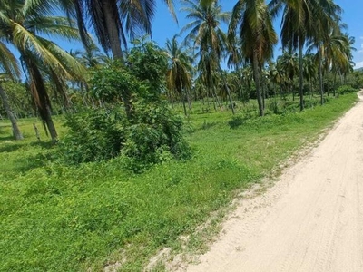 Terreno Exclusivo Para Desarrolladores En Playa Punta Escondida