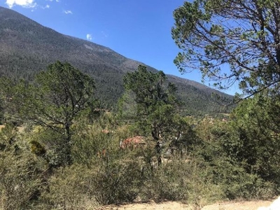 Terreno campestre en venta en Los Lirios Sierra de Arteaga Coahuila Cabañas