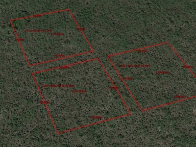 Terrenos de 1 hectárea en Conkal a $260 el m2