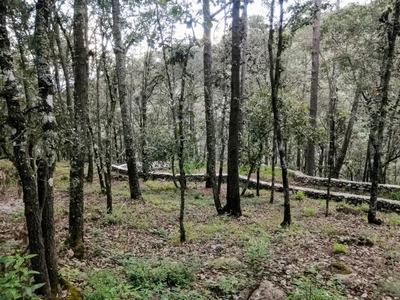 Terreno En Huasca De Ocampo, Rancho San Fco. Zona Ecológica.