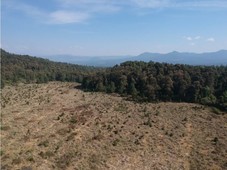 terreno para rancho en mesa rica