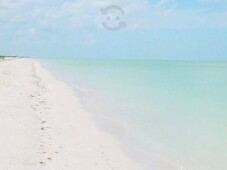 terreno a pie de playa en celestún yucatan