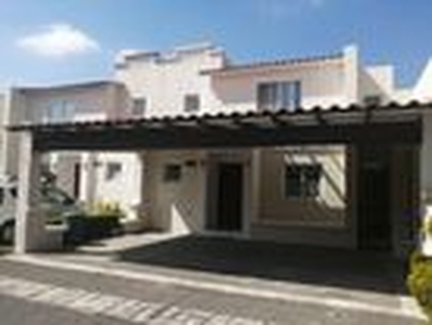 Casa en condominio en Renta Catalpas 1017
, Metepec, Estado De México