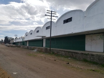 Casa en renta Ejido Santa Cruz Azcapotzaltongo, Toluca