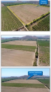 20 Hectareas de terreno en Rio Grande Oaxaca. ( Pto. Esc. Oax.)