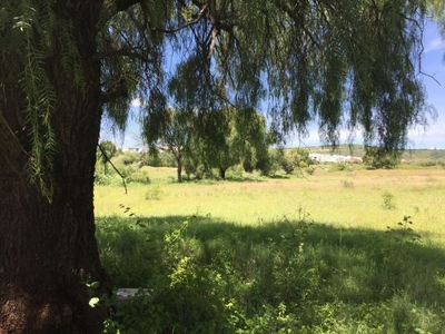 TERRENO DE 25,000 M2 EN CUMBRES JURIQUILLA