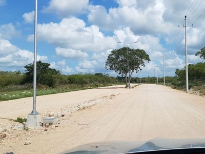 Terreno en Conkal 2 hectáreas para Desarrolladores e Inversionistas