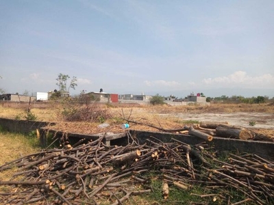 TERRENO EN LAS FUENTES JIUTEPEC 10,000 MTS