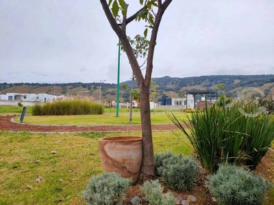 Terreno en esquina en Bosques de Santa Anita.