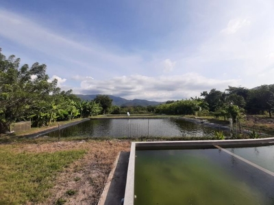 Rancho acuícola en venta, 2 hectáreas, en Los Ortices, Colima, con 3 estanques