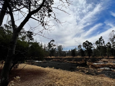 Terreno en Venta con uso de suelo múltiple