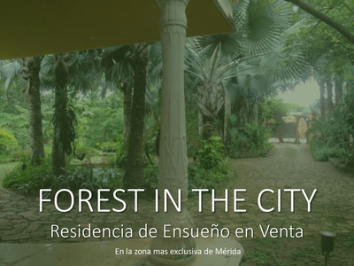 Benito Juarez Norte Forest In The City (fvc-2026)