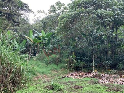 Terreno En Venta , Plano Y Con Arboles Frutales Y De Cafe , Ademas De Paso De Agua Potable