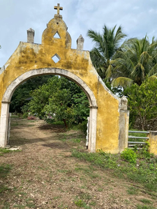 Venta De Rancho En Yucatán, 100 Hectáreas